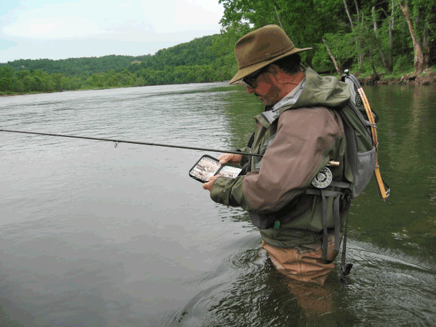 Guide-Curated Fly Selection