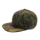 Six Panel Cap